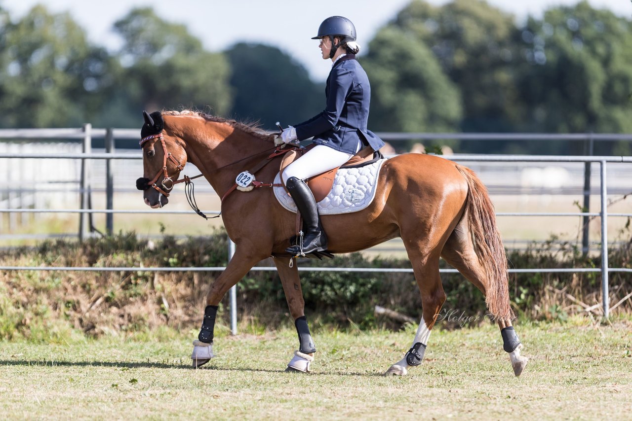 Bild 4 - Pony Akademie Turnier